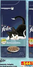 FELİX SOMONLU YETİŞKİN YAŞ KEDİ MAMASI 2 KG